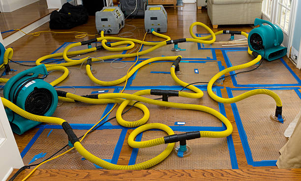 Professional Crawl Space Water Removal technician working in Kings Beach, CA